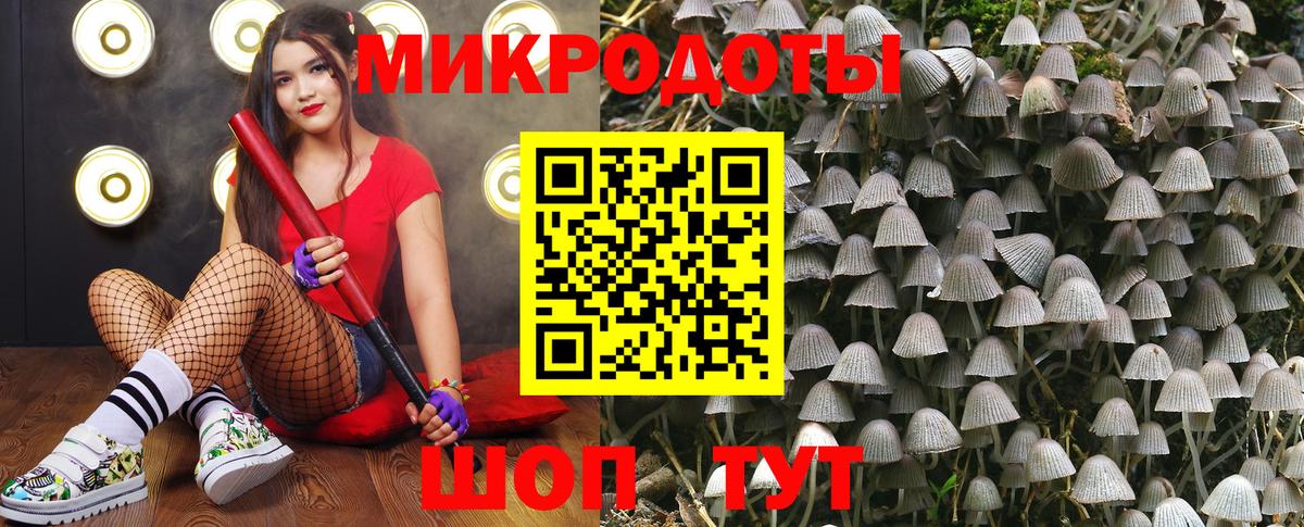 Борзя  Псилоцибиновые грибы прущие грибы  Вход с VPN 